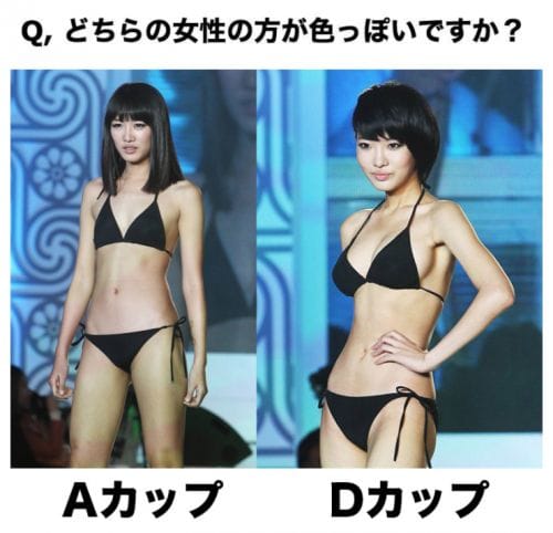 記事番号:130825/アイテムID:4715518の画像